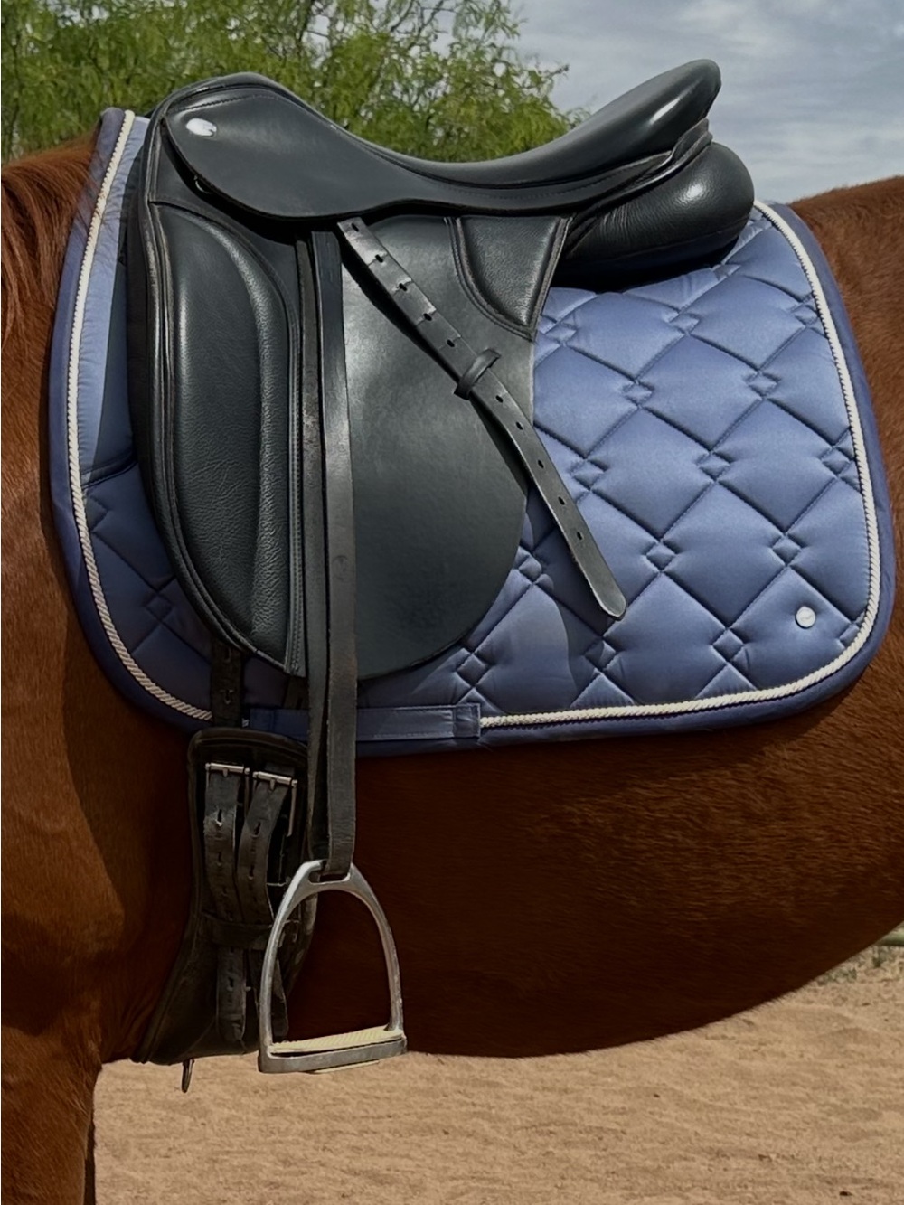 Thorowgood Adjustable Tree Dressage Saddle